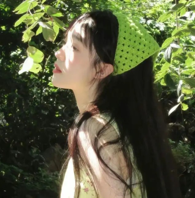 晴晚之林
